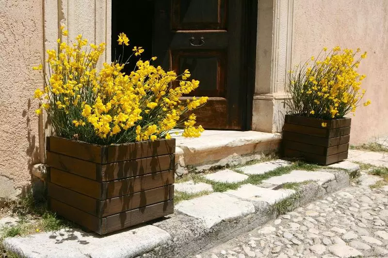 בית מלון כפרי Convento Di San Colombo