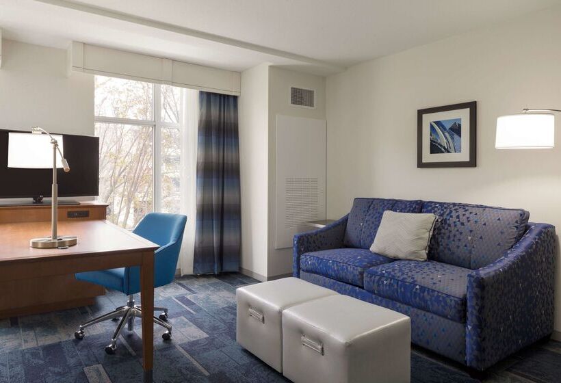 فندق Hampton Inn & Suites Rosemont Chicago O Hare