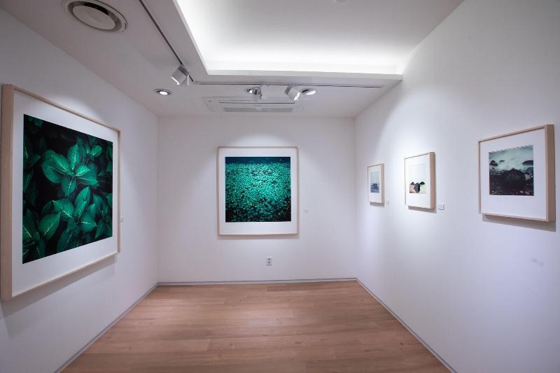 בית מלון כפרי Matthieu Yeosu