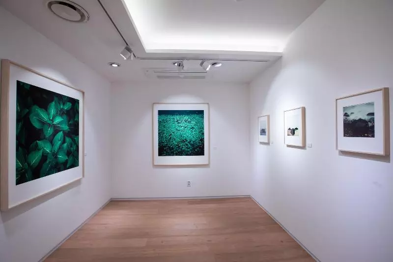 בית מלון כפרי Matthieu Yeosu