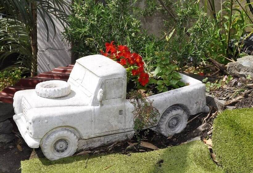 酒店 Quinlan & Cooke Boutique Townhouse And Qcs Seafood Restaurant