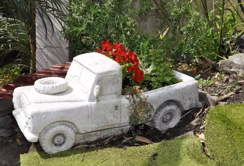 ホテル Quinlan & Cooke Boutique Townhouse And Qcs Seafood Restaurant