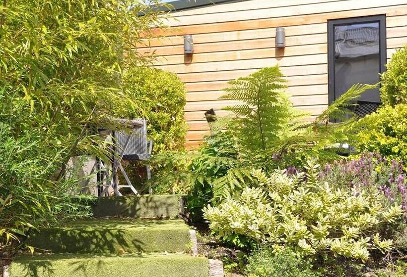 酒店 Quinlan & Cooke Boutique Townhouse And Qcs Seafood Restaurant