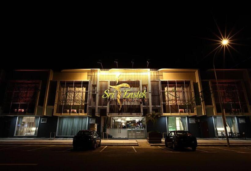 בית מלון כפרי Sri Enstek