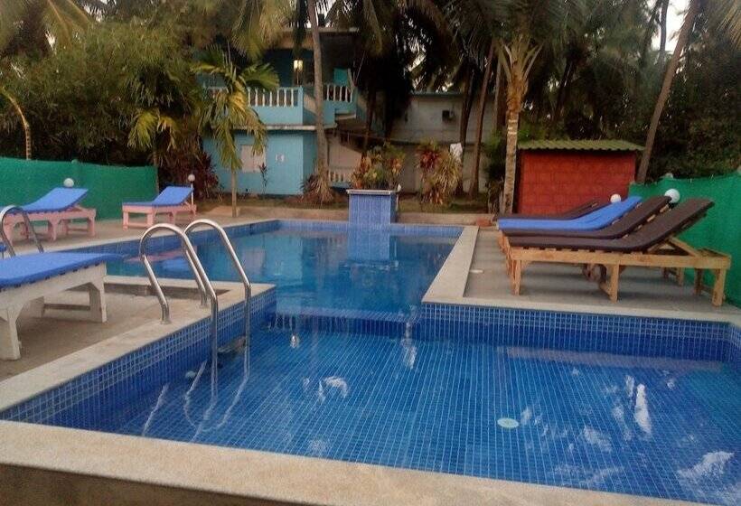 Am Hotel Kollection:ivy, Morjim