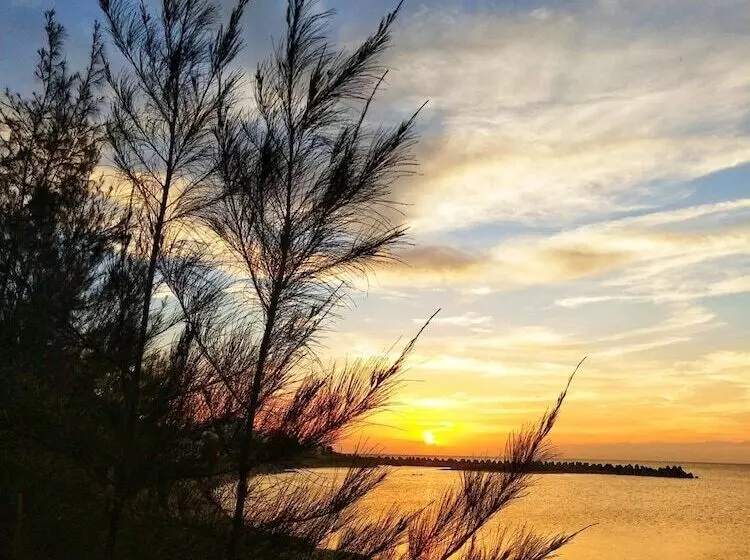 تختخواب و صبحانه Beach Walk Homestay