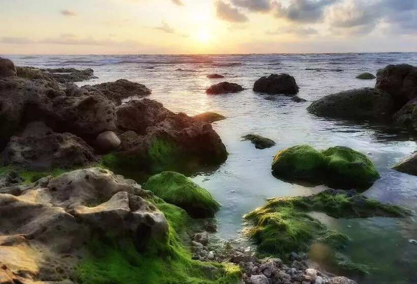 تختخواب و صبحانه Beach Walk Homestay