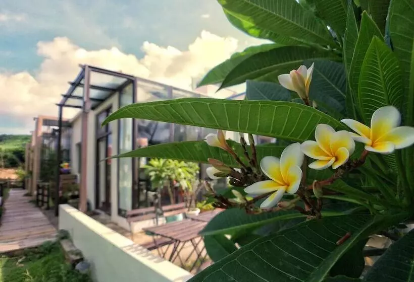 تختخواب و صبحانه Beach Walk Homestay