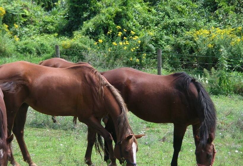 צימר Bent Mountain Lodge