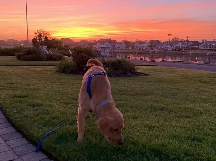 Bed and Breakfast Cashelmara Inn