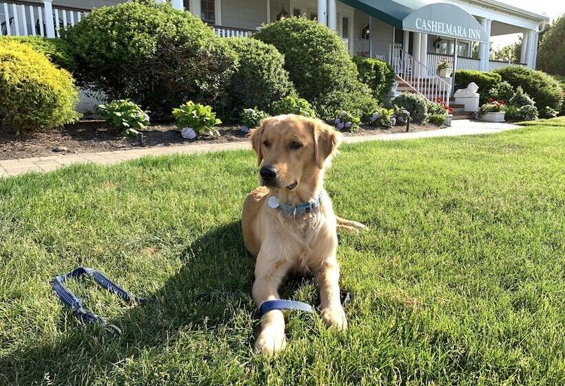 Bed and Breakfast Cashelmara Inn