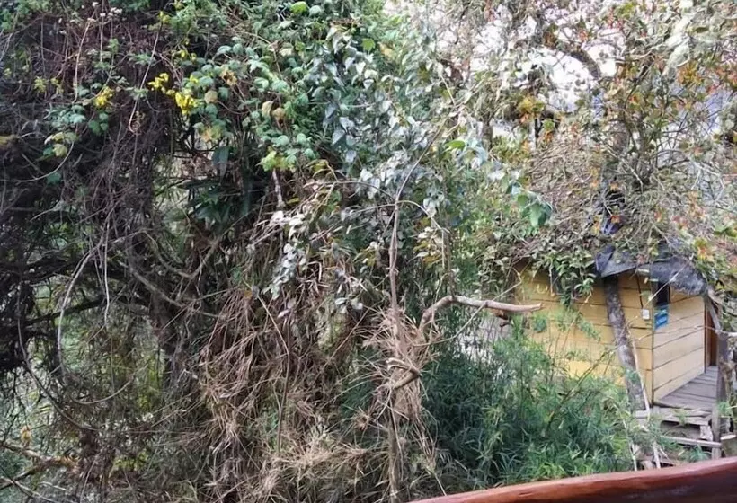 Aamiaismajoitus (B&B) Termas El Pantanal