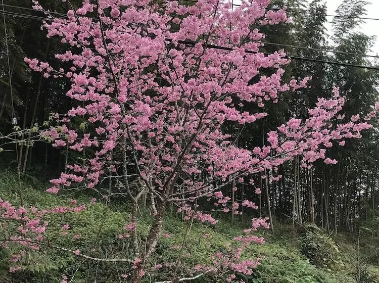 تختخواب و صبحانه Zhu Yuan Homestay