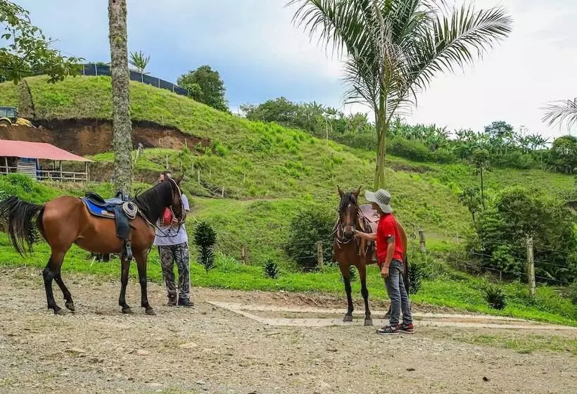 Finca Hotel Los Guayacanes