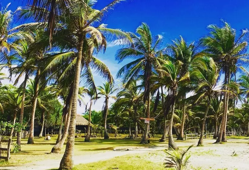 簡易ホテル Criollo Beach Camp
