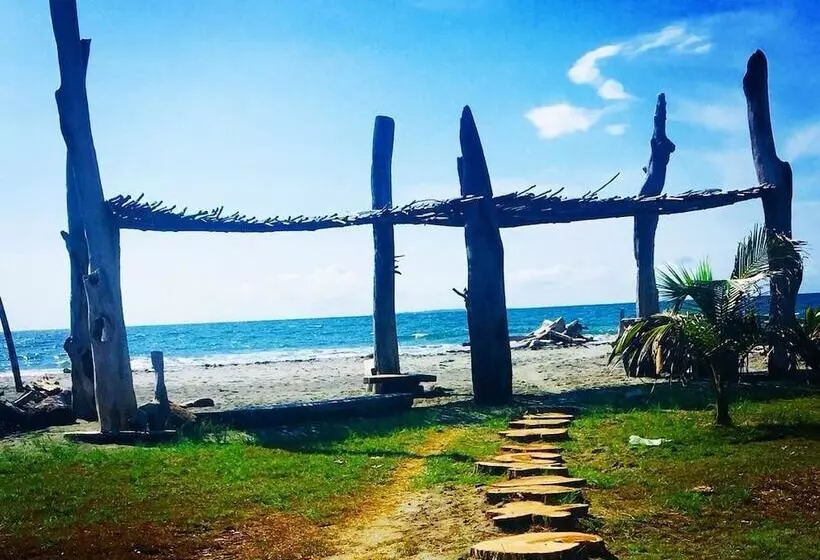 簡易ホテル Criollo Beach Camp