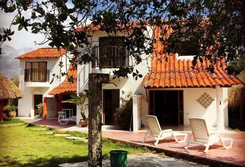 簡易ホテル Criollo Beach Camp