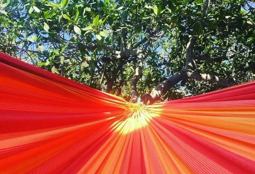 簡易ホテル Criollo Beach Camp