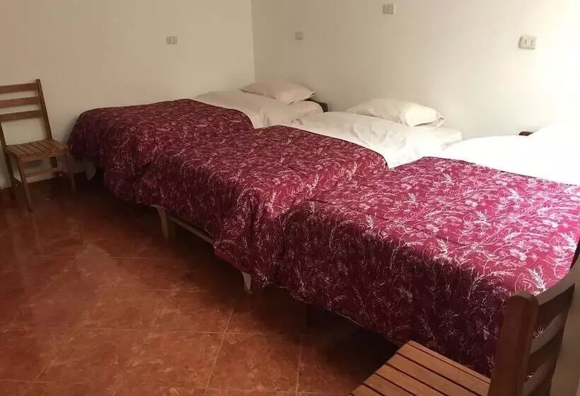 مسافرخانه Hospedaje Las Flores