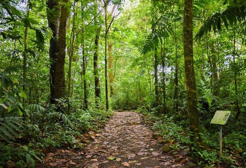 ホテル Arbol Dorado