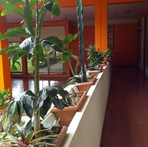 Hotelli Arbol Dorado