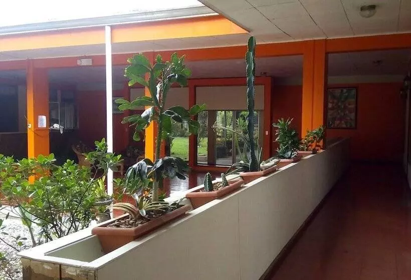 Hotelli Arbol Dorado