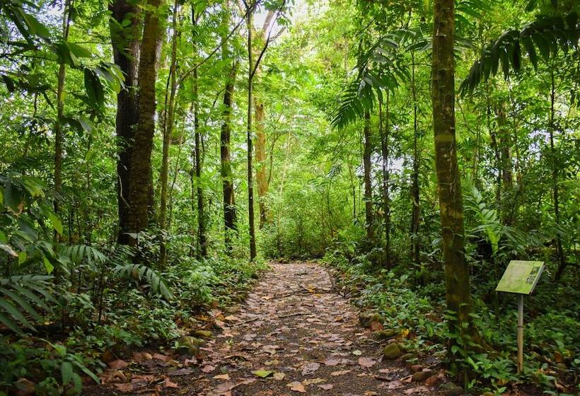 ホテル Arbol Dorado