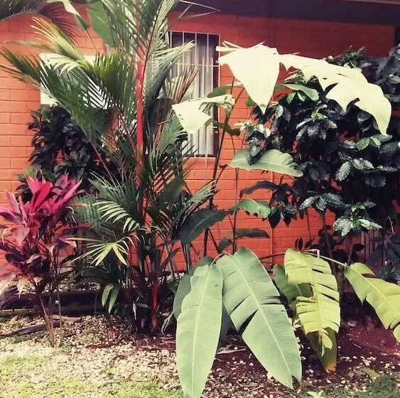 Hotelli Arbol Dorado