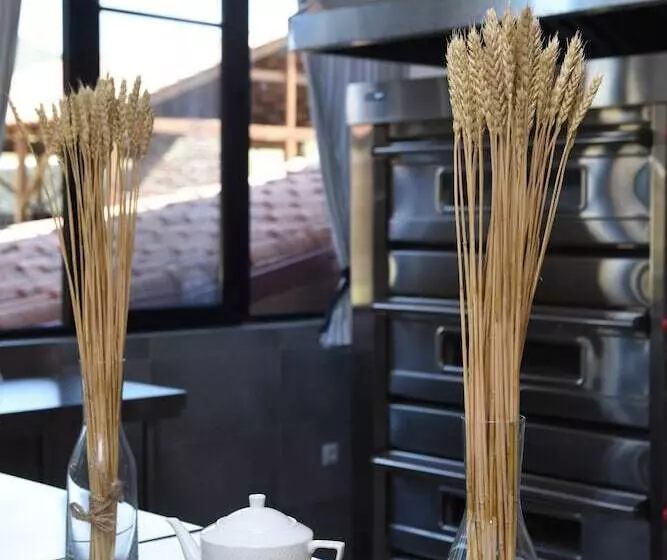 هتل Chateau Khashmi