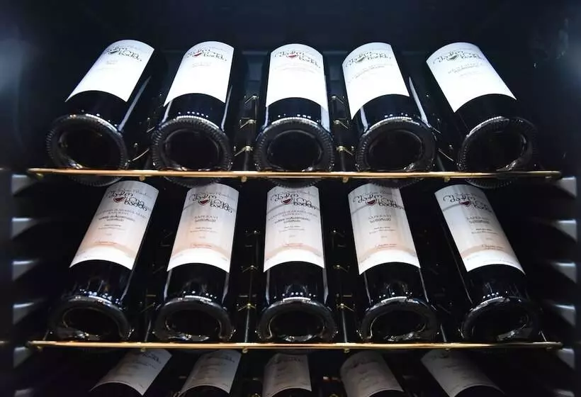 هتل Chateau Khashmi