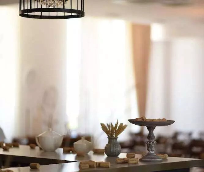 هتل Chateau Khashmi