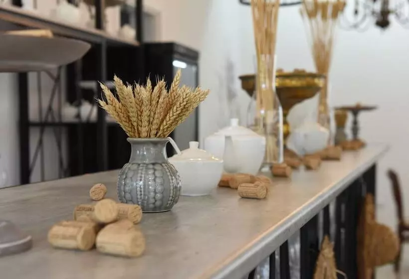 هتل Chateau Khashmi