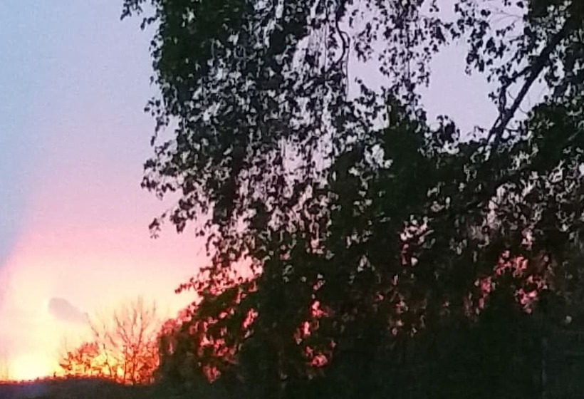 Hotelli Gasthof Zur Grossen Linde