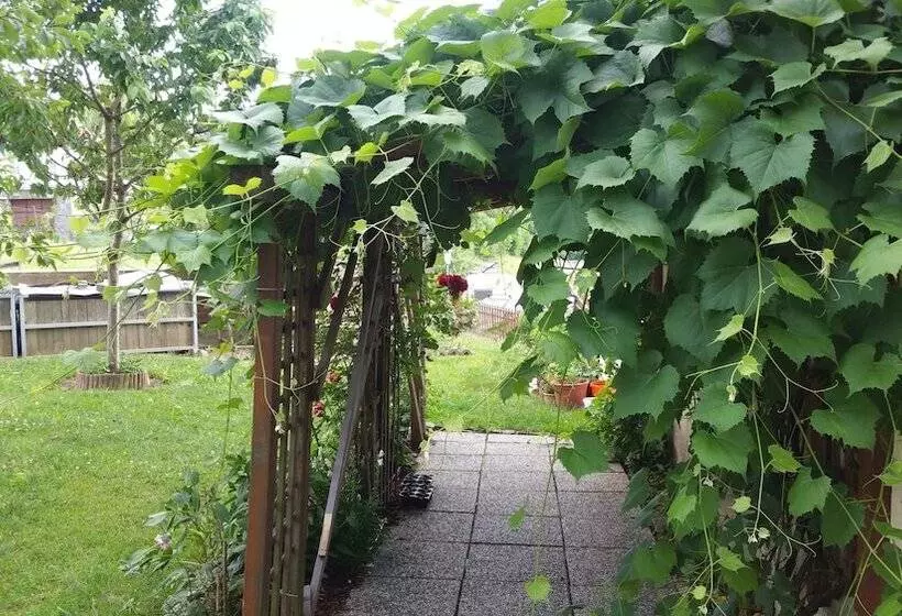ホテル Gasthof Zur Grossen Linde