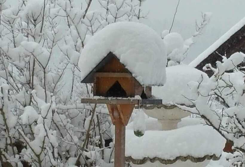 Hotelli Gasthof Zur Grossen Linde