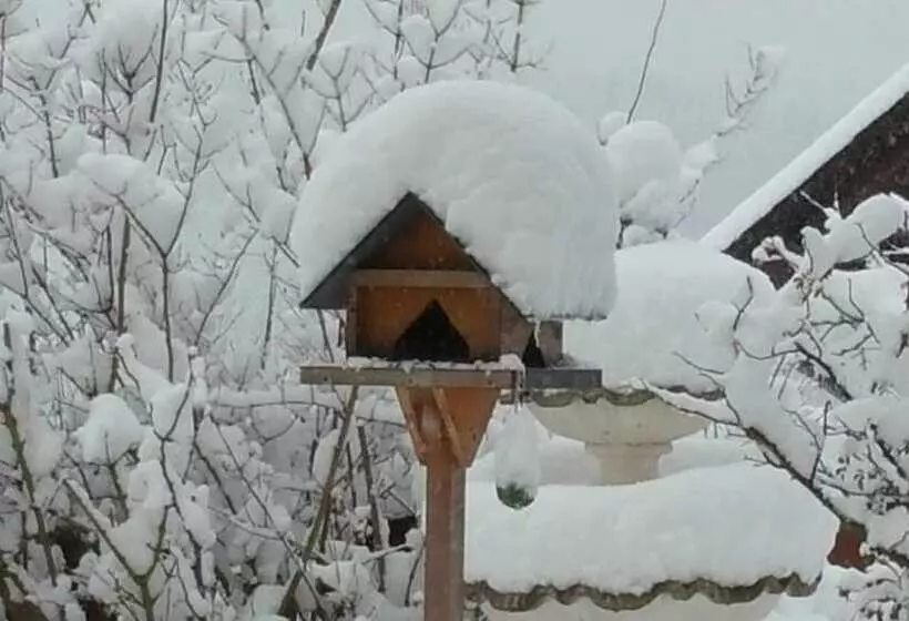 ホテル Gasthof Zur Grossen Linde