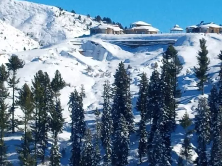 هتل Green Palace Guest House Malam Jabba