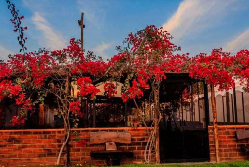 호텔 Lodge Viñas Del  Sol