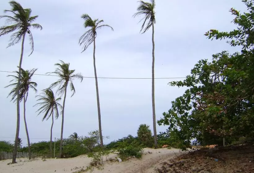 ホテル Pousada Paraíso Das Canárias
