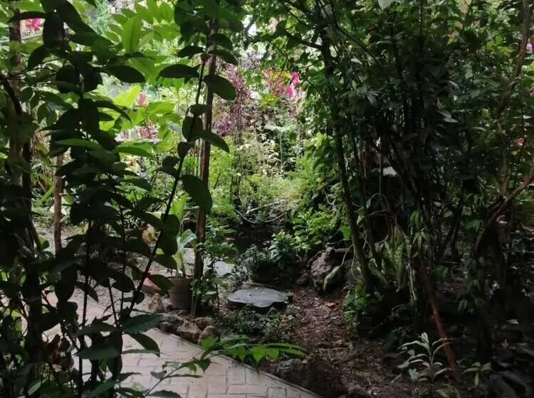 ホテル Refugio Turistico Maiku