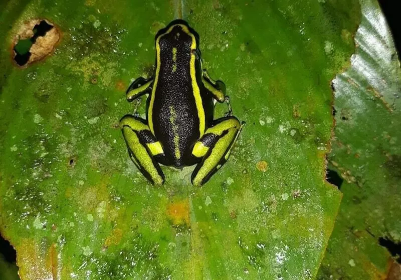 ホテル Refugio Turistico Maiku