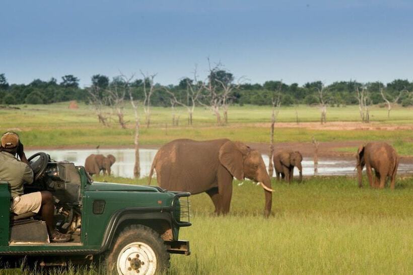 هتل Rhino Safari Camp