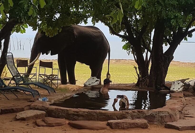 هتل Rhino Safari Camp