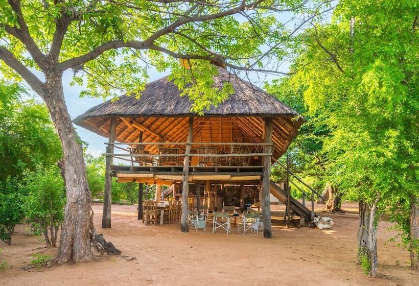 هتل Rhino Safari Camp