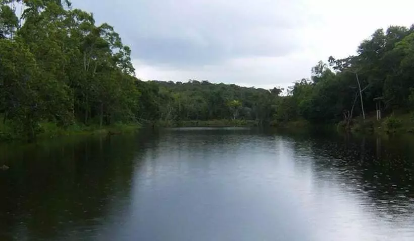 田舎風ホテル Fazenda Villa Rial