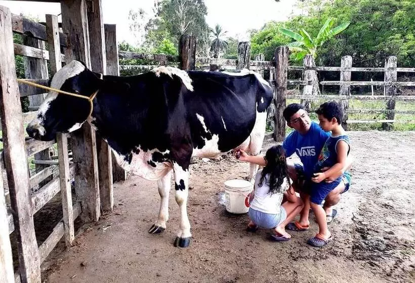 田舎風ホテル Fazenda Villa Rial