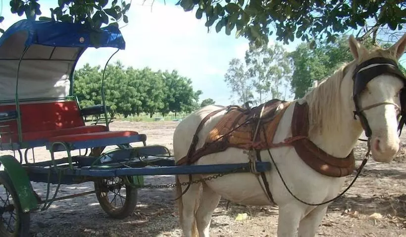 田舎風ホテル Fazenda Villa Rial