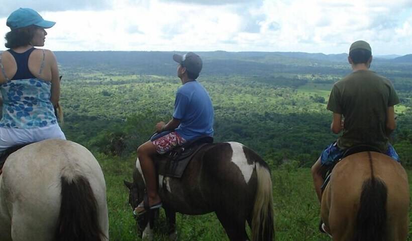 田舎風ホテル Fazenda Villa Rial