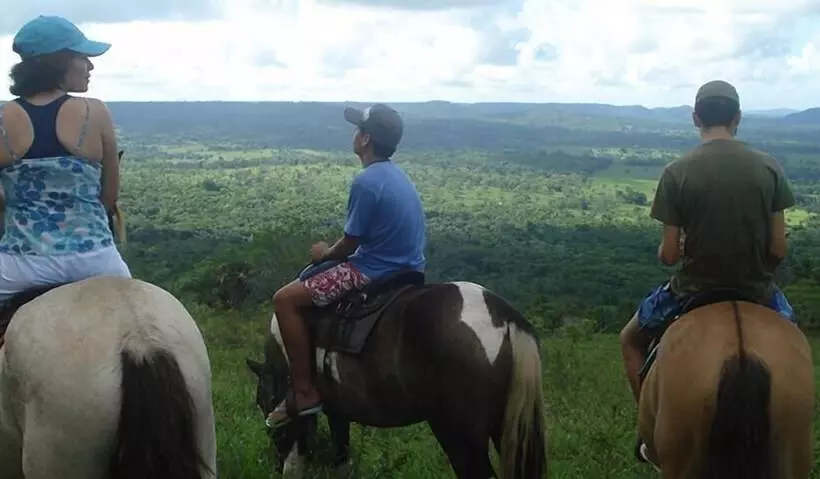 田舎風ホテル Fazenda Villa Rial