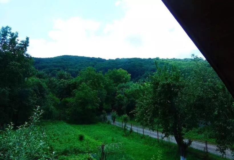 Majatalo Guest House Family Green